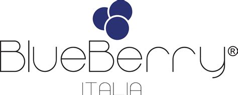 blueberry clothing brand